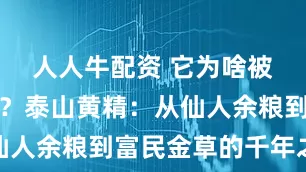 人人牛配资 它为啥被称为仙草？泰山黄精：从仙人余粮到富民金草的千年之旅
